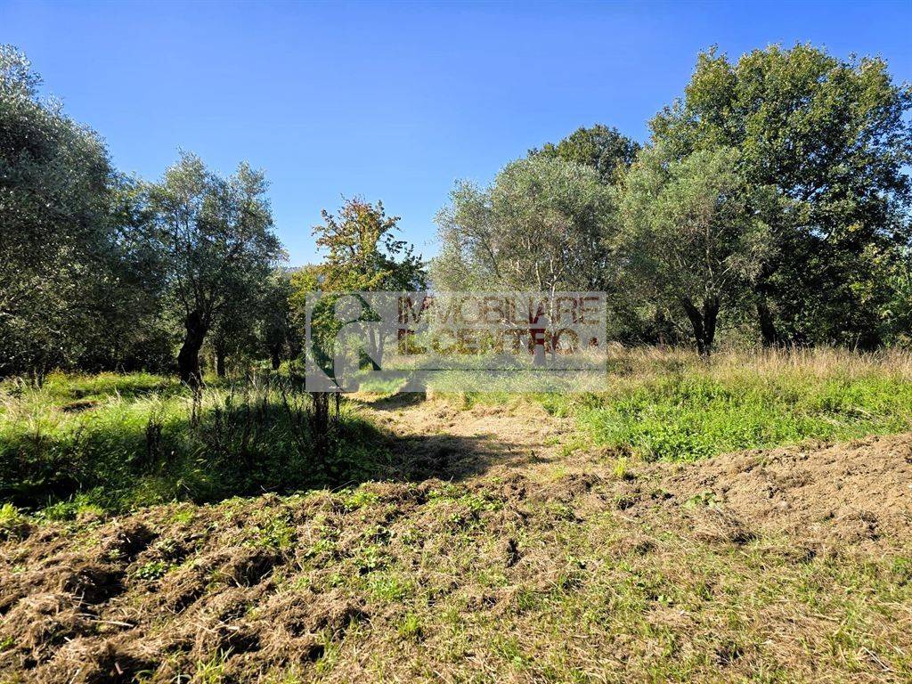 immagine annuncio 12 di 14