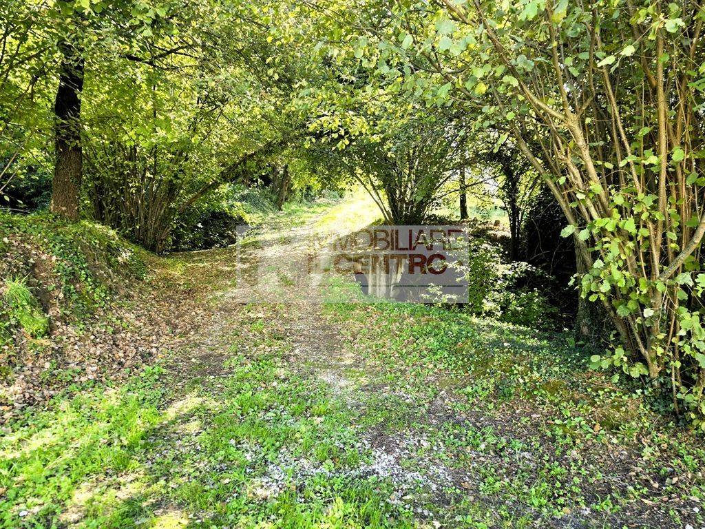 immagine annuncio 13 di 14