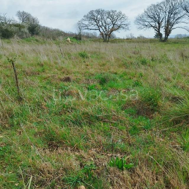 immagine annuncio 5 di 7