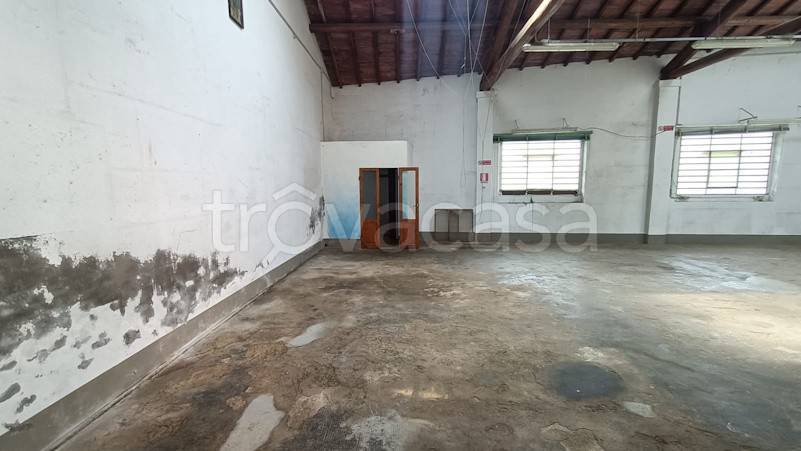 immagine annuncio 4 di 7