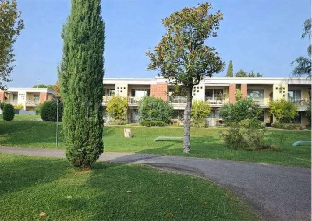 immagine annuncio 1 di 11