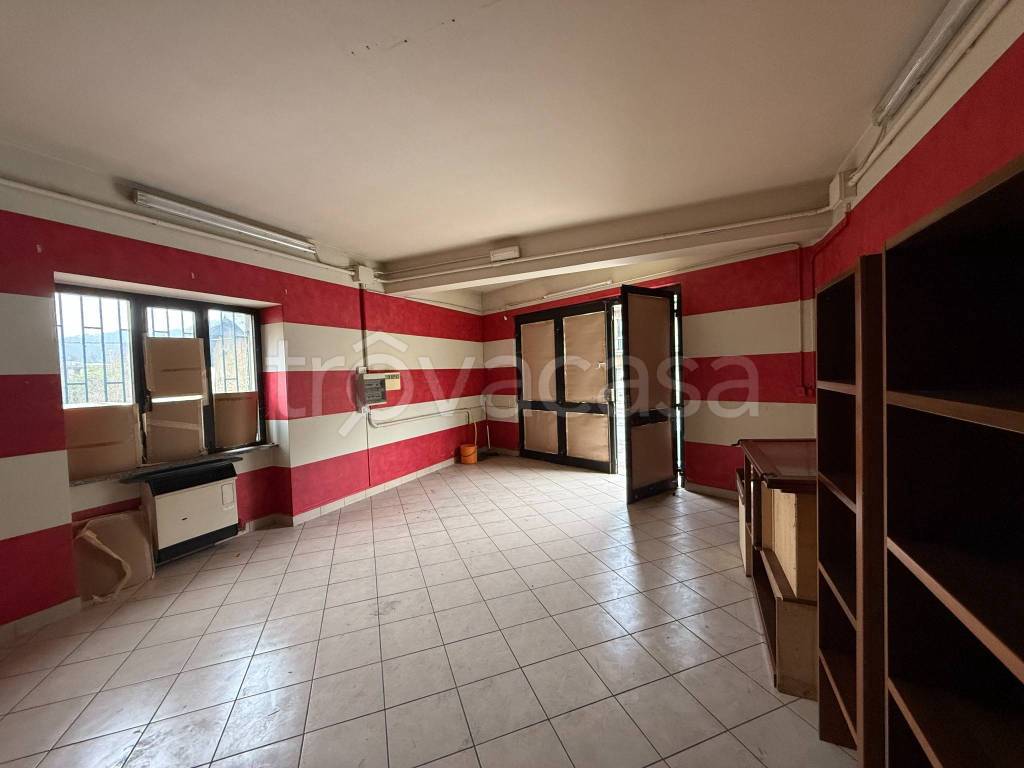 immagine annuncio 12 di 14