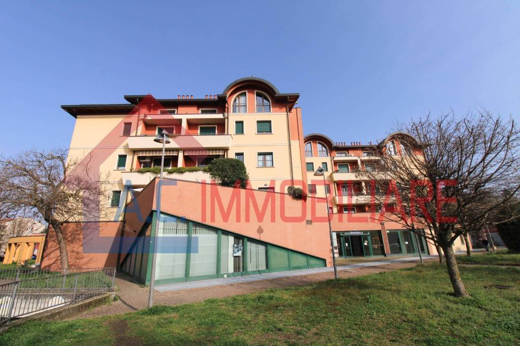 immagine annuncio 1 di 14