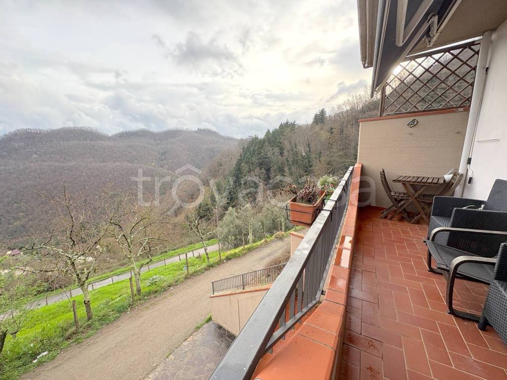 immagine annuncio 8 di 14