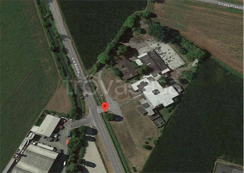 immagine annuncio 2 di 11