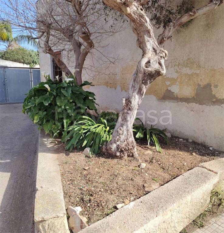 immagine annuncio 1 di 6