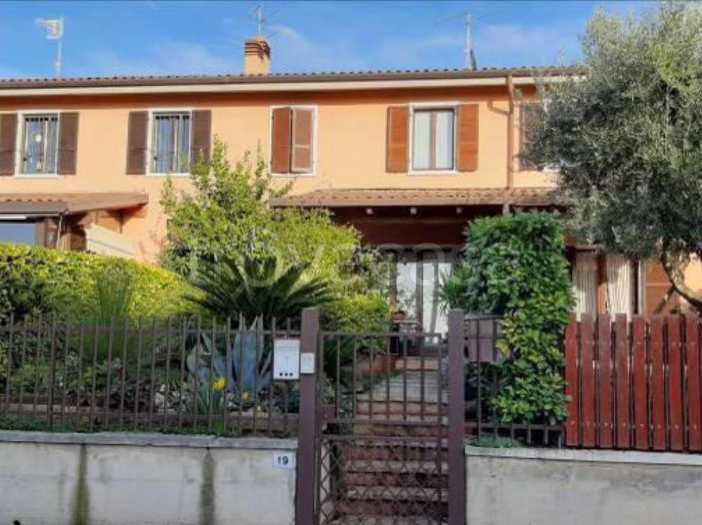 immagine annuncio 1 di 15