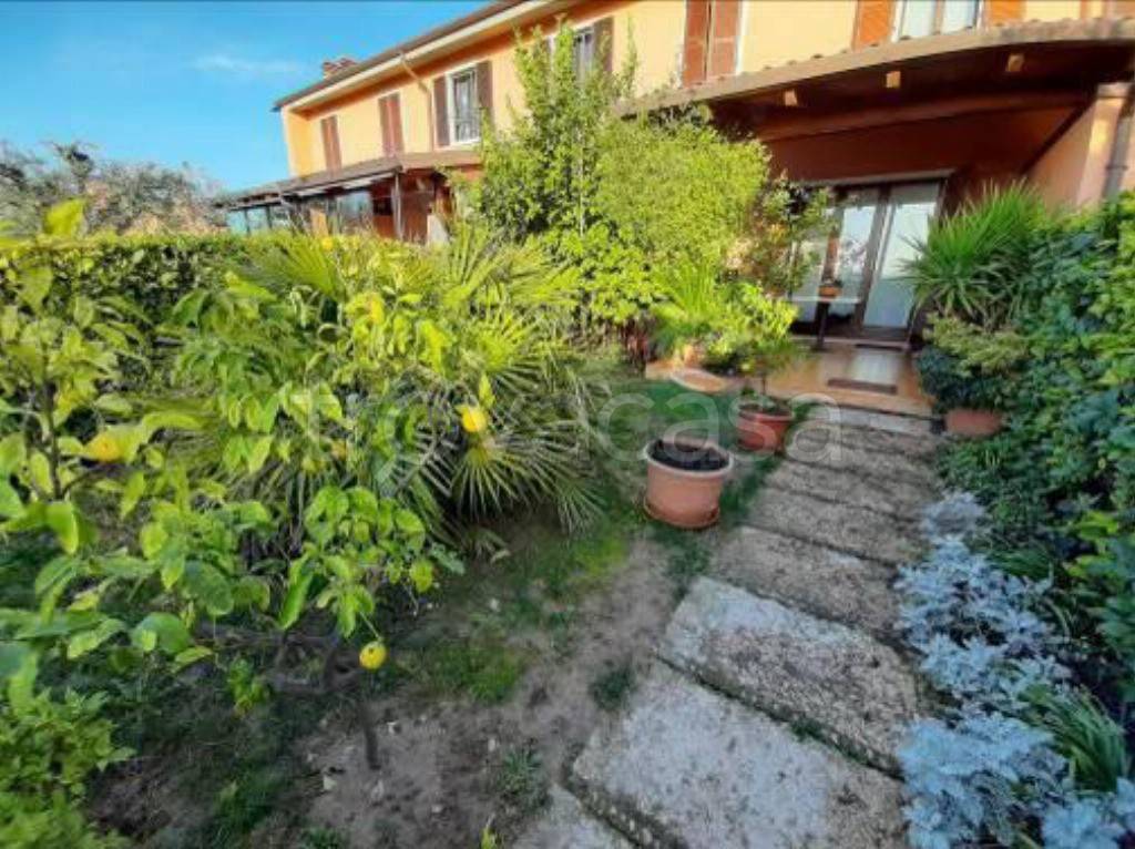 immagine annuncio 3 di 15