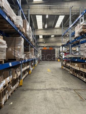 immagine annuncio 11 di 15