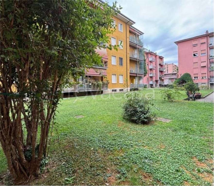 immagine annuncio 5 di 13