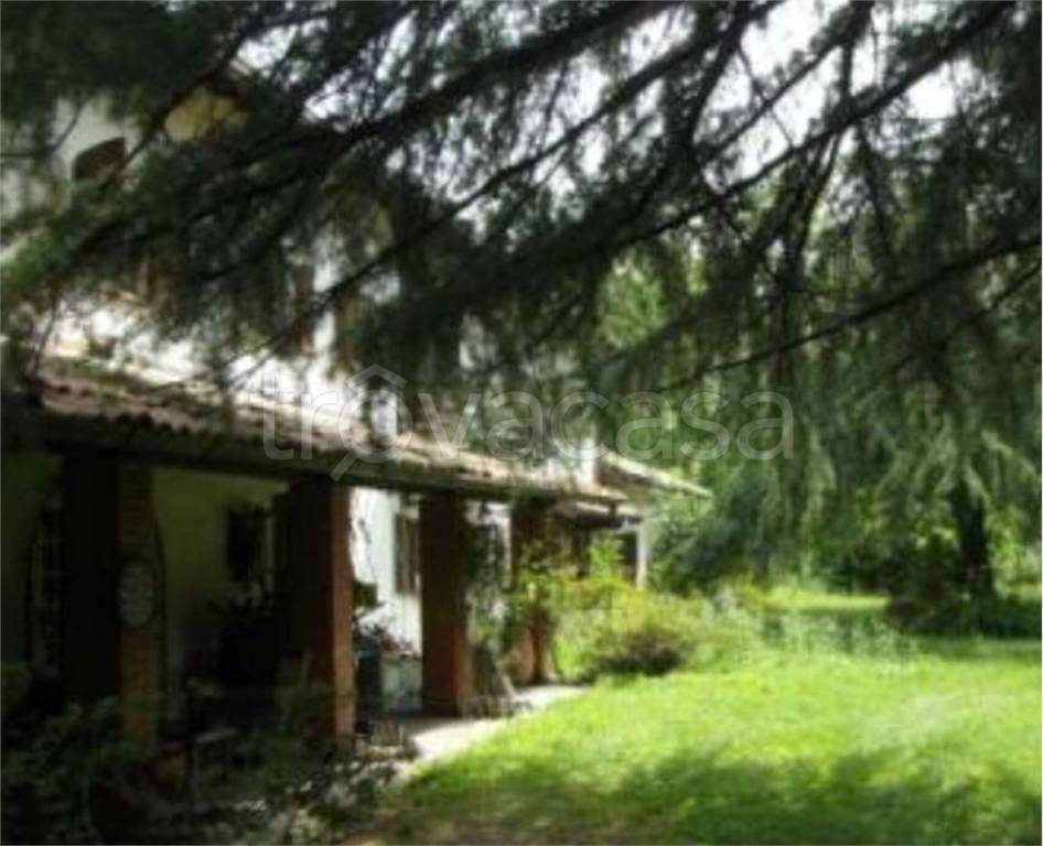 immagine annuncio 4 di 12