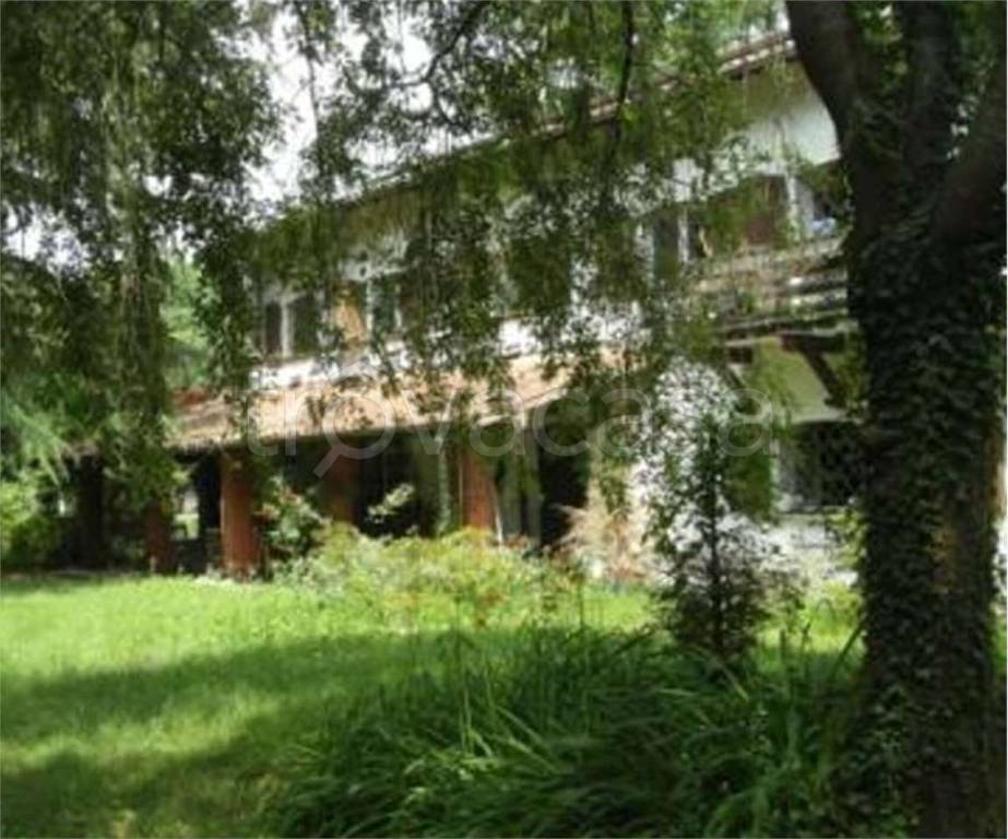 immagine annuncio 11 di 12