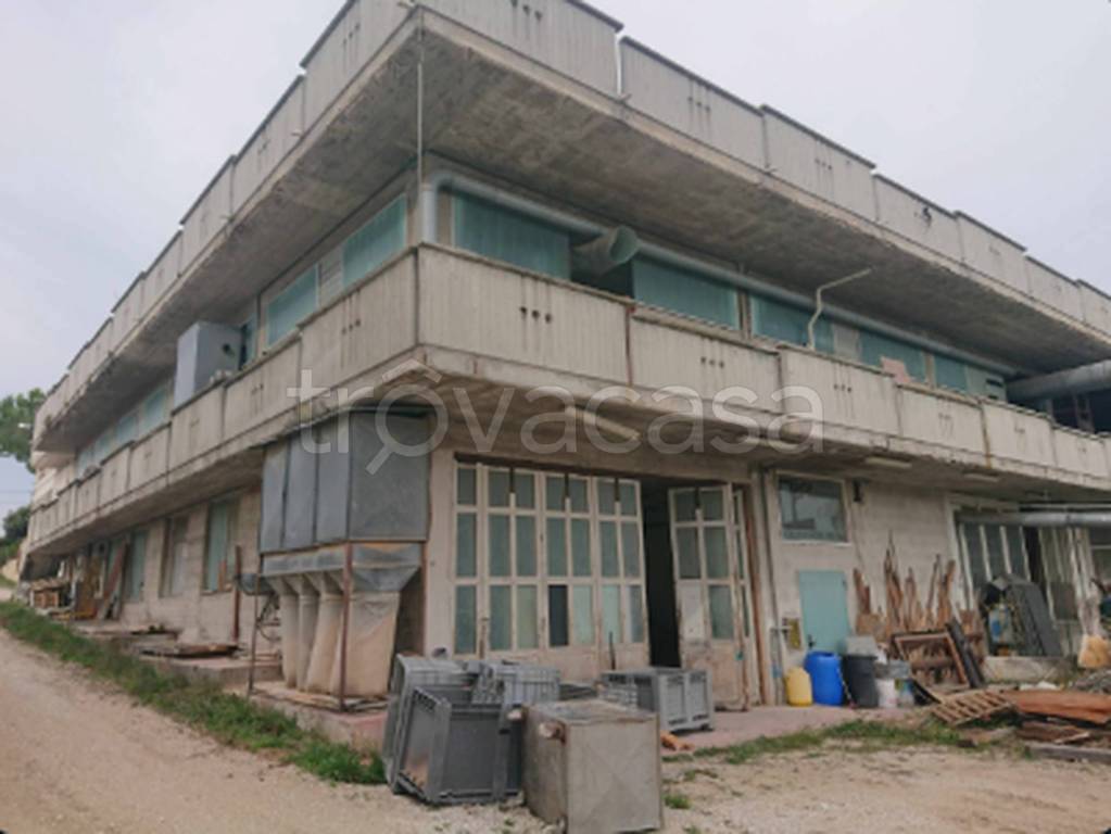 immagine annuncio 10 di 11