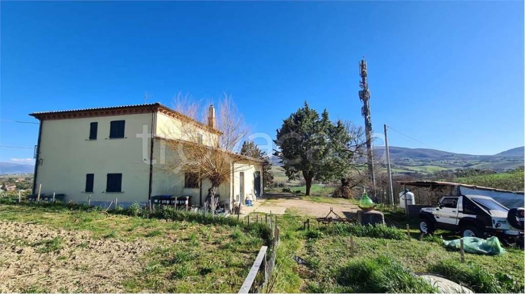 immagine annuncio 5 di 11