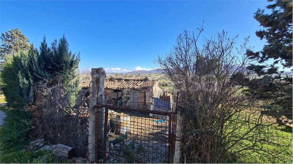 immagine annuncio 8 di 11