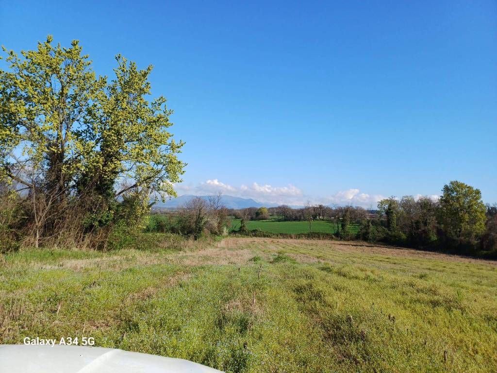 immagine annuncio 1 di 7