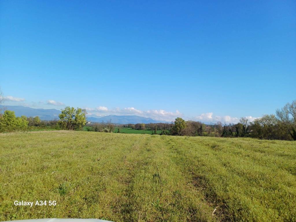 immagine annuncio 2 di 7