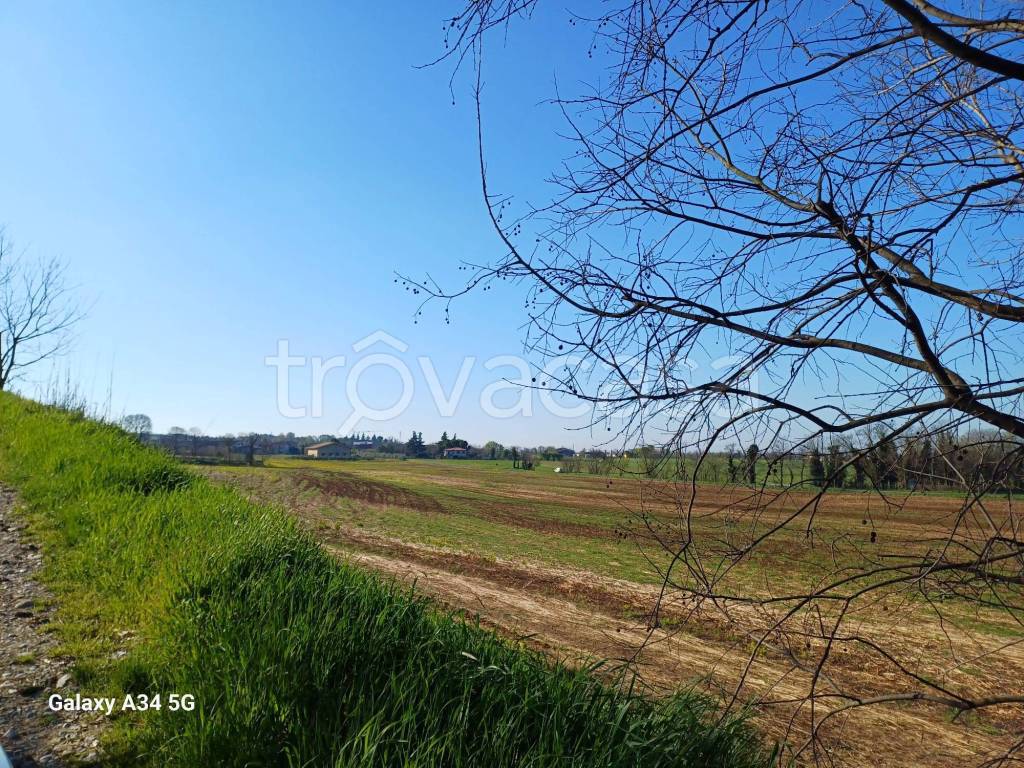 immagine annuncio 3 di 7