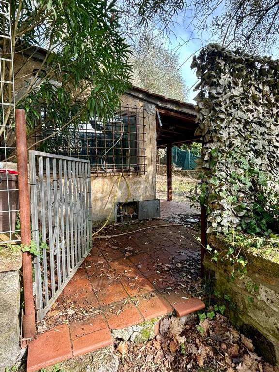 immagine annuncio 7 di 8