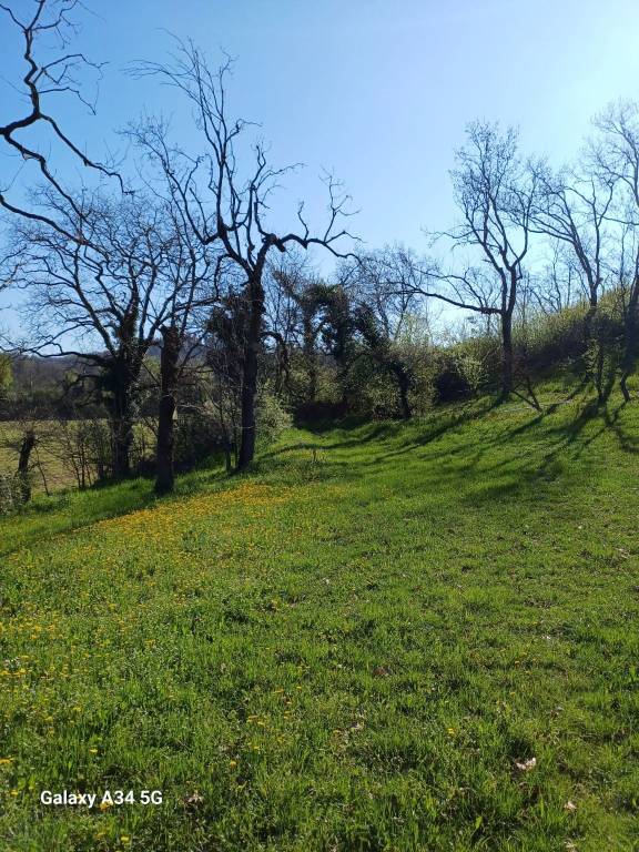 immagine annuncio 6 di 7