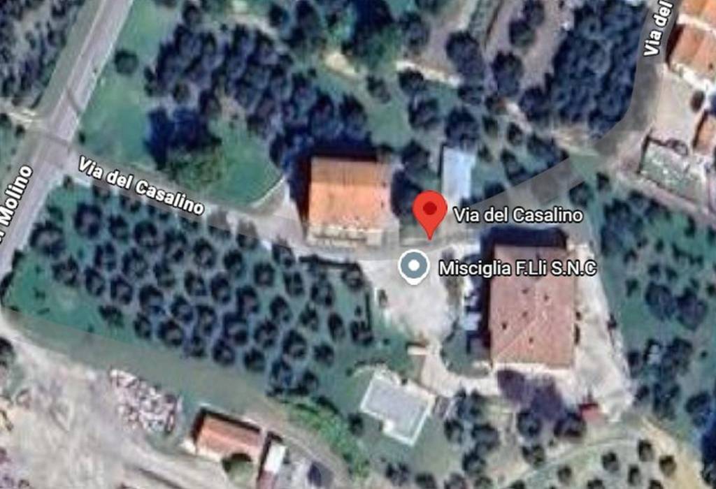 immagine annuncio 3 di 11