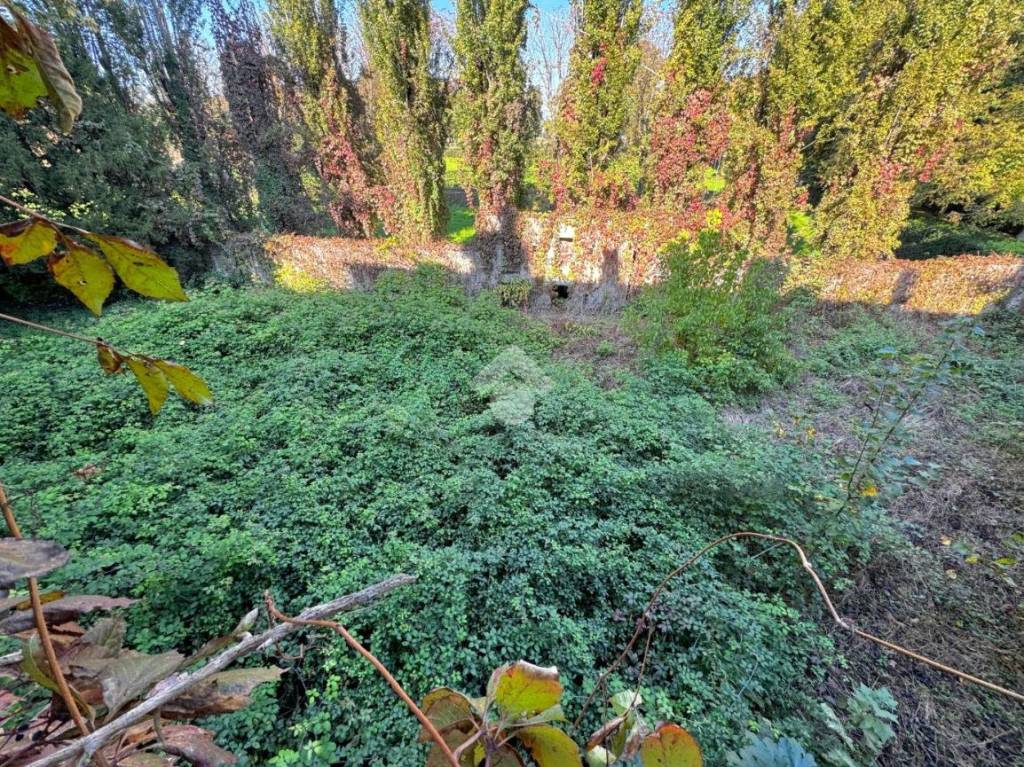 immagine annuncio 10 di 12