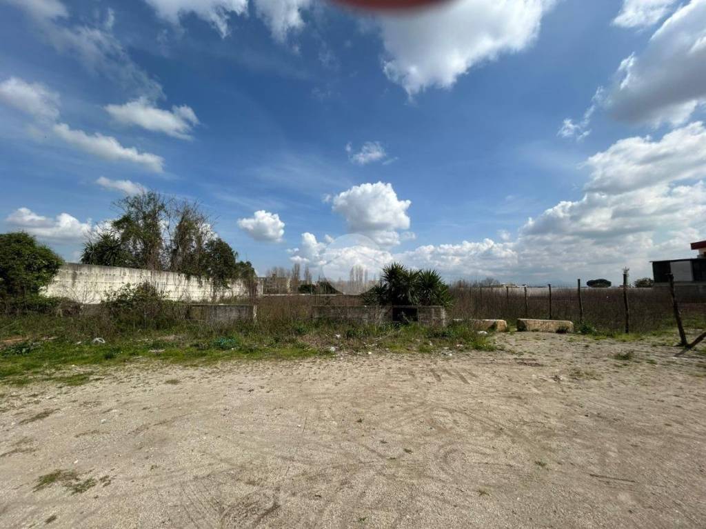 immagine annuncio 3 di 4