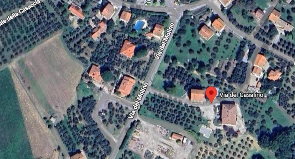 immagine annuncio 9 di 11