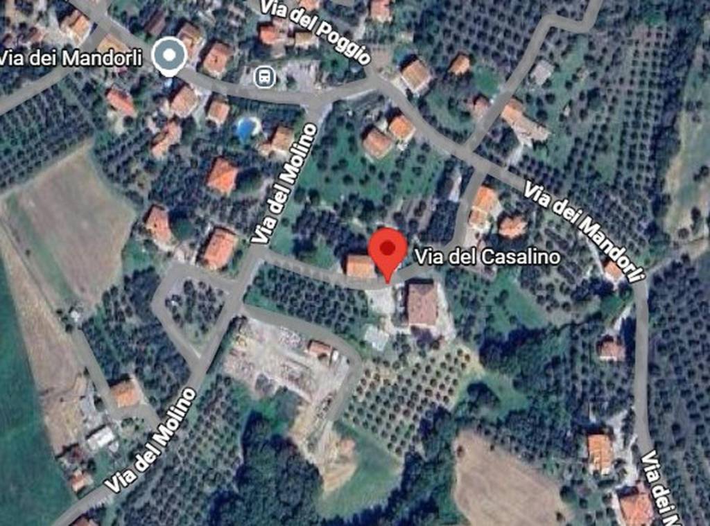 immagine annuncio 10 di 11