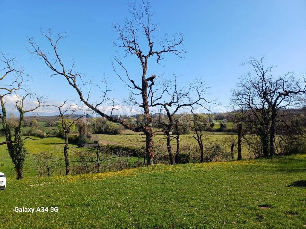 immagine annuncio 5 di 9