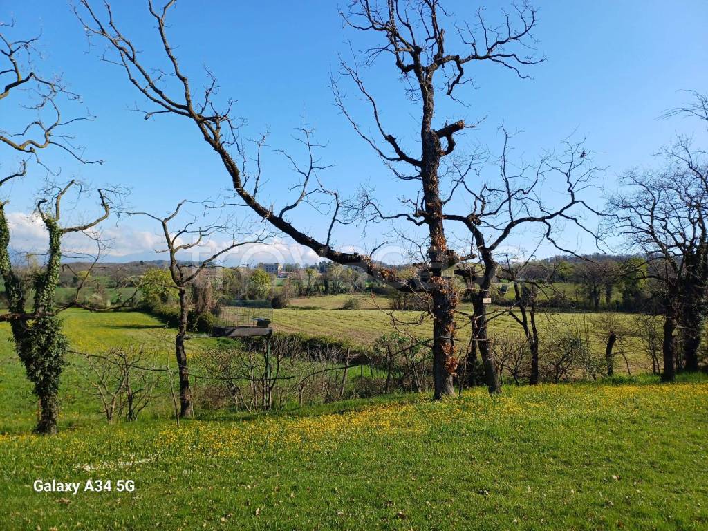 immagine annuncio 6 di 9