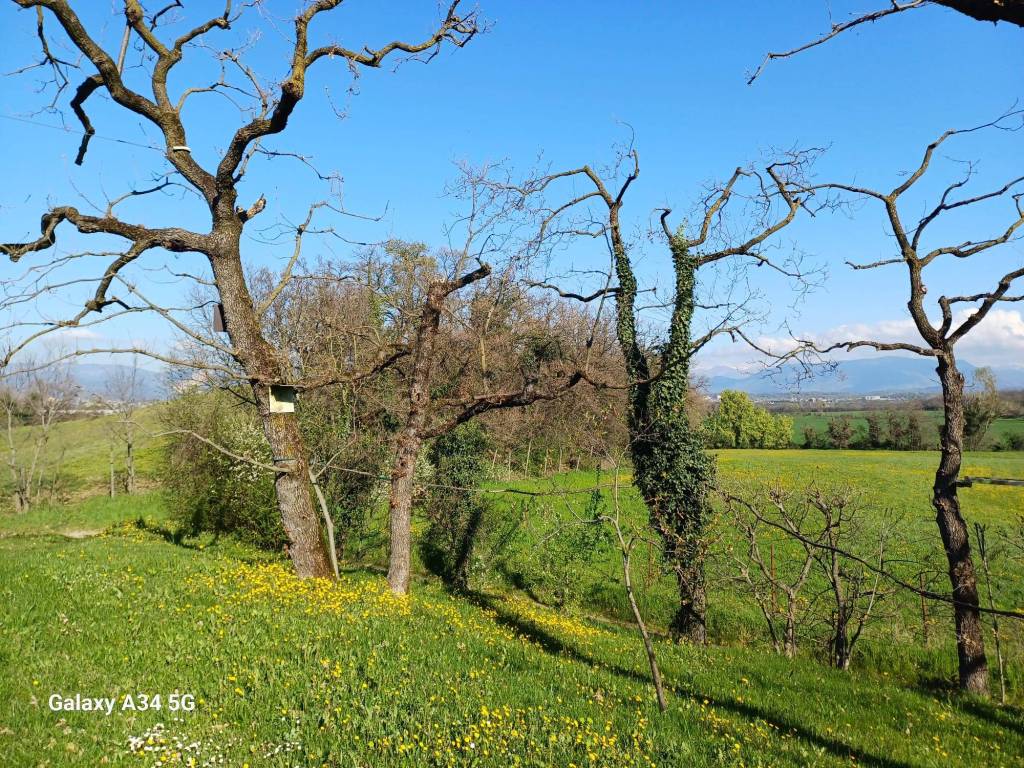 immagine annuncio 7 di 9