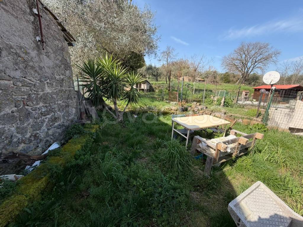 immagine annuncio 10 di 14