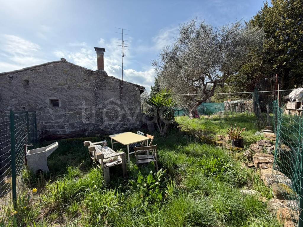 immagine annuncio 11 di 14