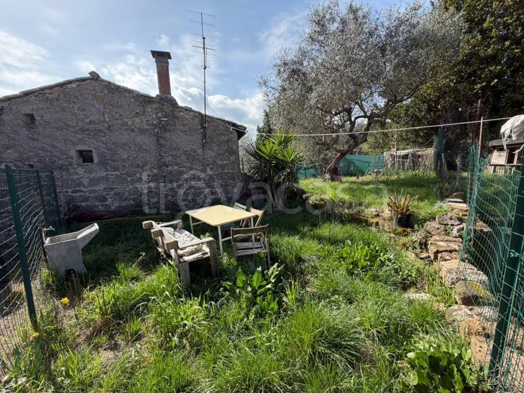 immagine annuncio 12 di 14