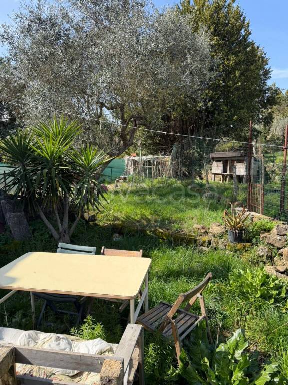 immagine annuncio 13 di 14