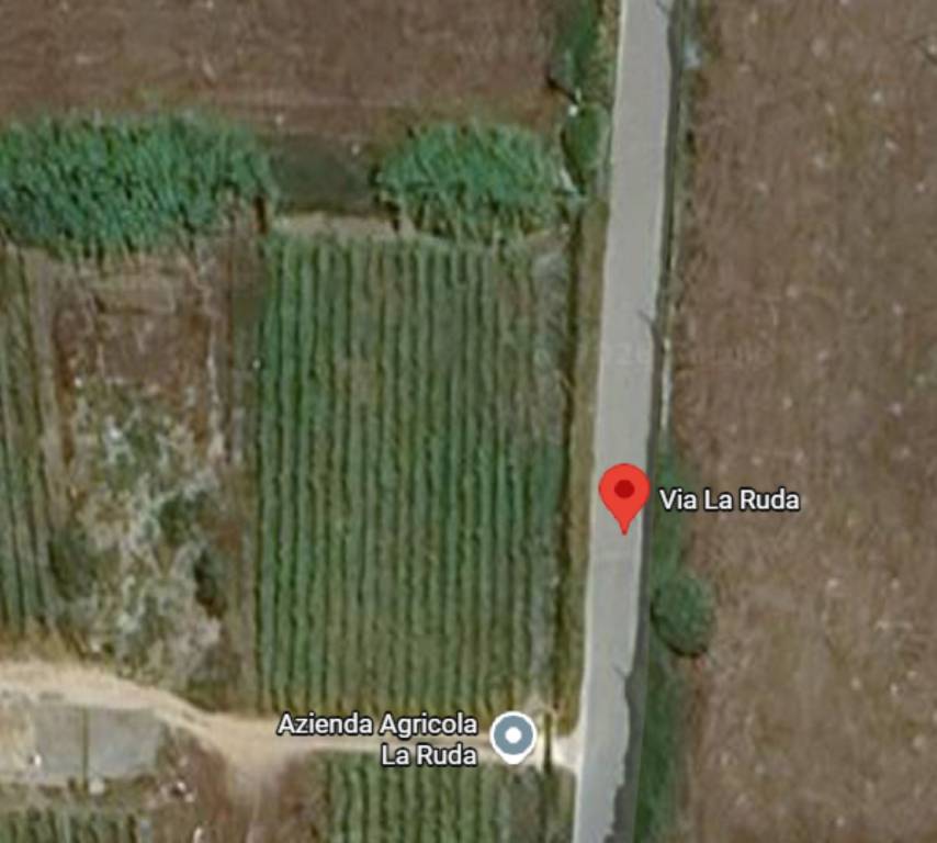 immagine annuncio 7 di 12