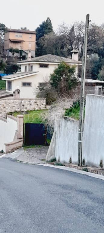 immagine annuncio 4 di 6