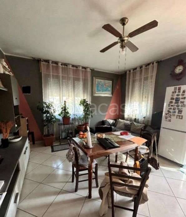 immagine annuncio 2 di 12