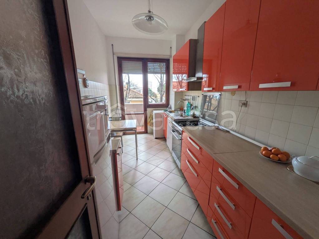 immagine annuncio 9 di 14