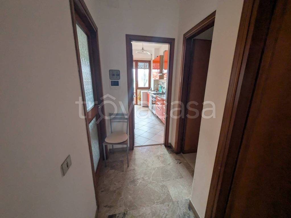 immagine annuncio 11 di 14