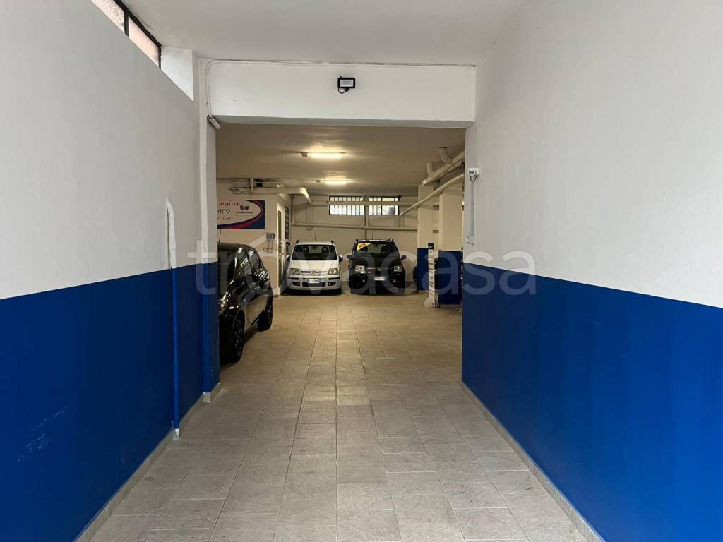 immagine annuncio 4 di 14