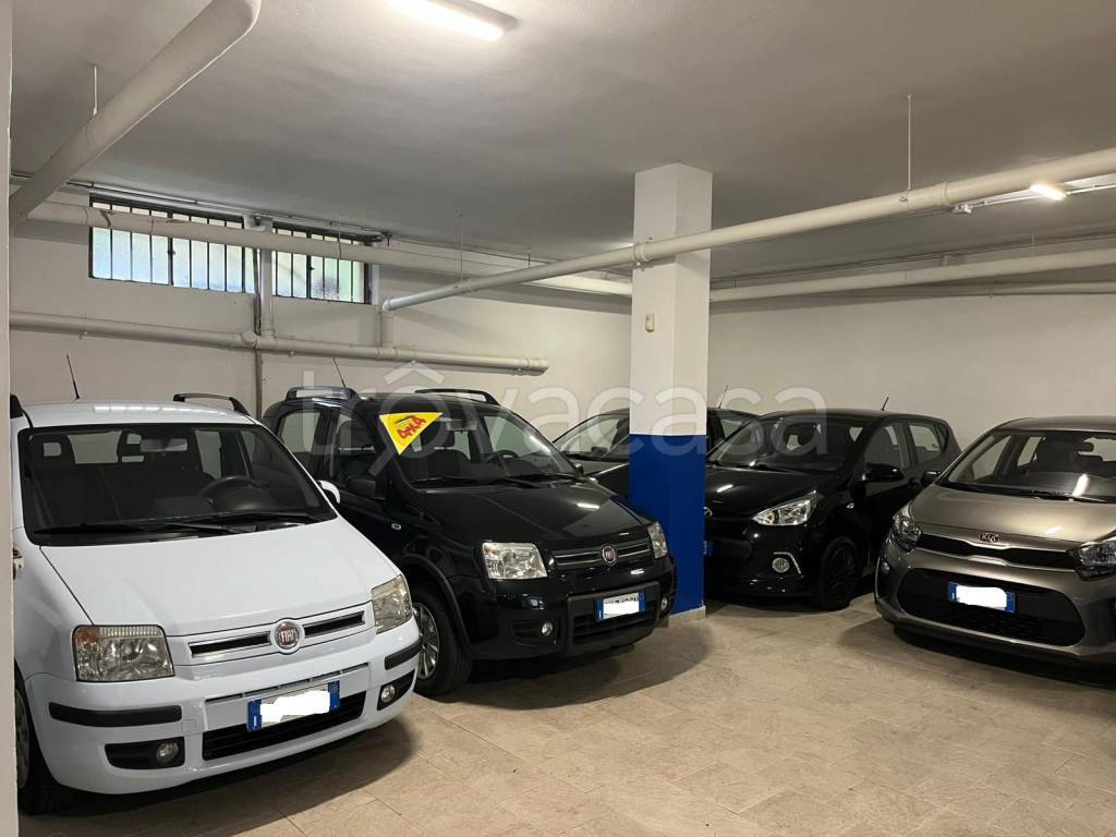 immagine annuncio 11 di 14