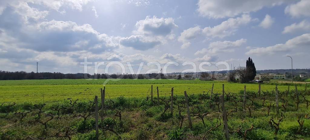 immagine annuncio 6 di 14