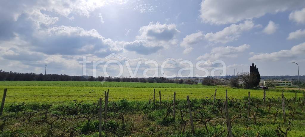 immagine annuncio 9 di 14