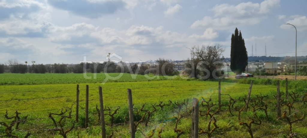 immagine annuncio 10 di 14