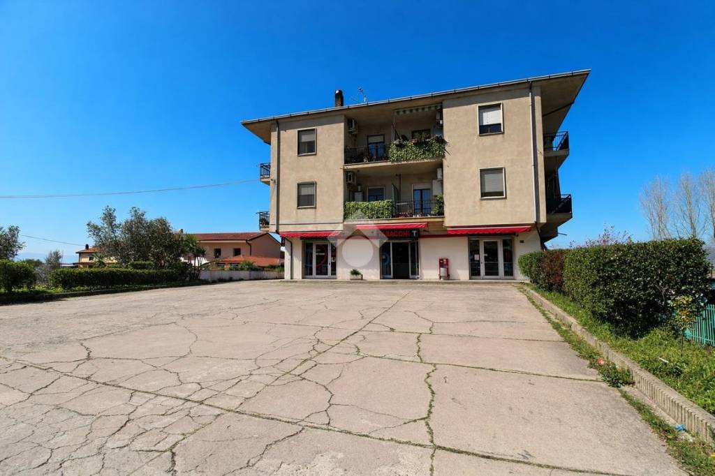 immagine annuncio 1 di 14