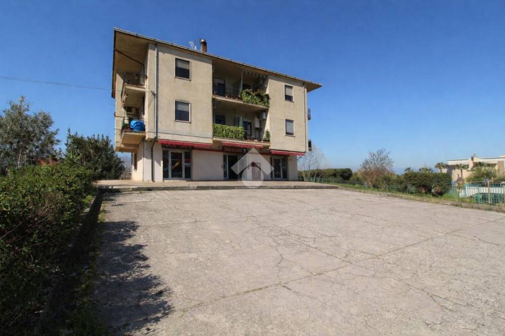 immagine annuncio 3 di 14