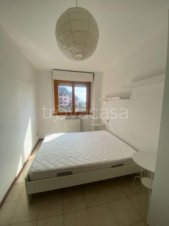 immagine annuncio 5 di 8