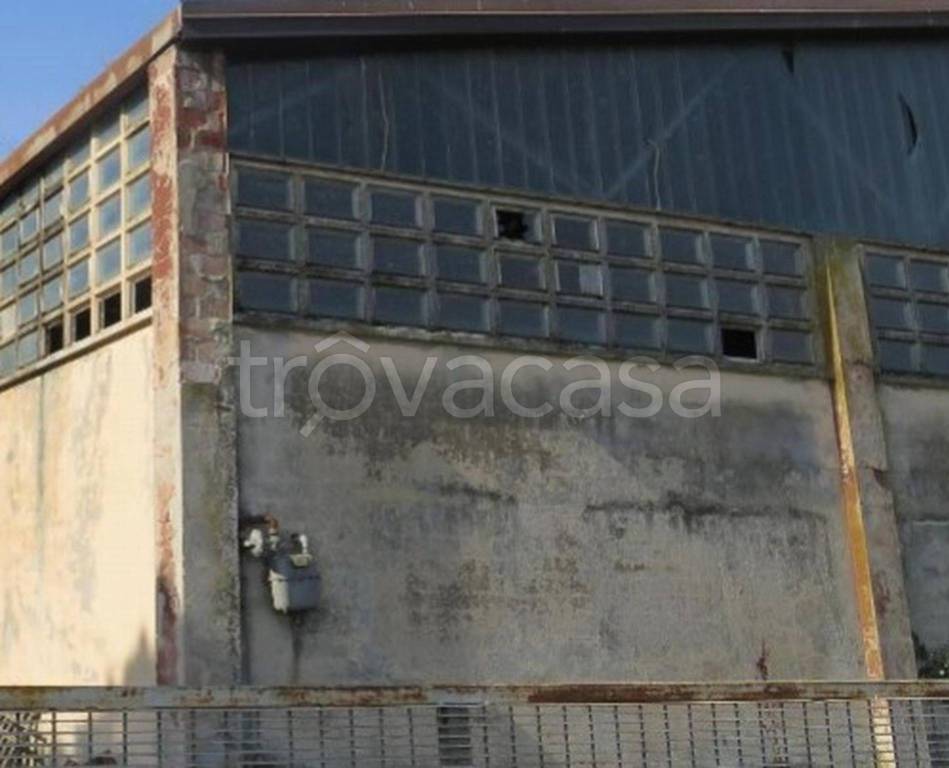 immagine annuncio 6 di 11